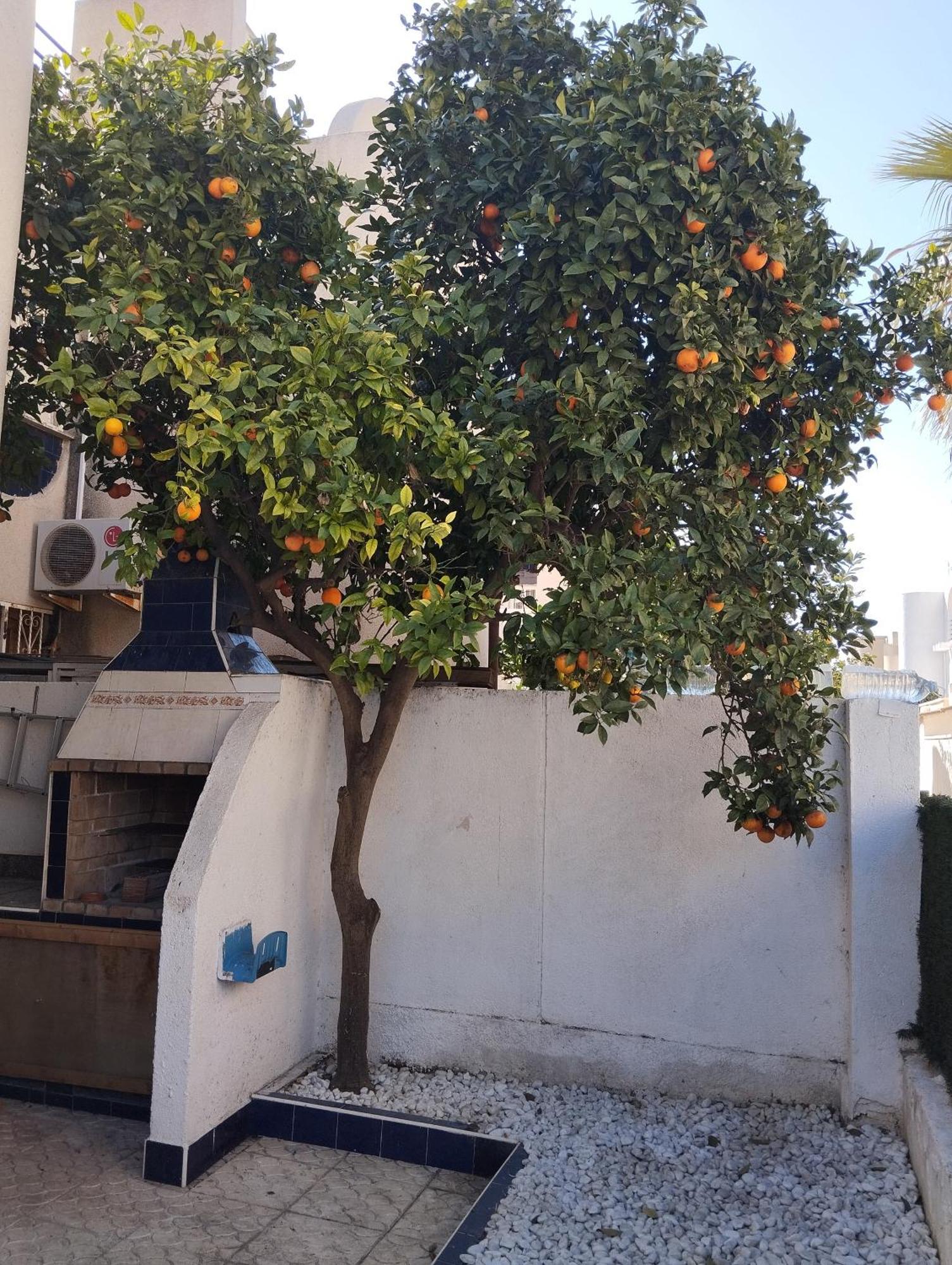 טורבייחה Z&R - Alcyone Villa מראה חיצוני תמונה